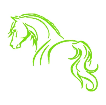 Samolepící dekorace Kůň 104 levá (04 - zelená kawasaki) SAMOLEPKA NA AUTO, NÁLEPKA, FÓLIE, POLEP, TUNING, VLASTNÍ TEXT, TISK, AUTOSAMOLEPKY.cz, POLEPY, OBRÁZEK, LOGO, 3D STICKERS