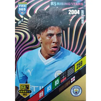 Sběratelská karetní hra Rico Lewis