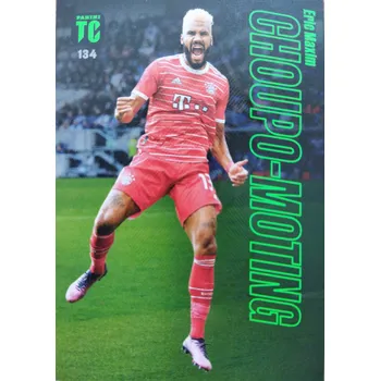 Sběratelská karetní hra Eric Maxim Choupo-Moting