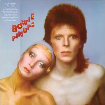 Hudba David Bowie : Pin Ups LP