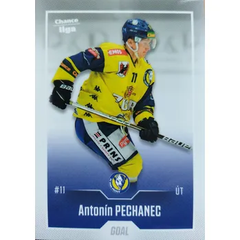 Karetní hra Antonín Pechanec