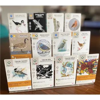 Desková hra Stonemaier Games Wingspan Fan Art Cards