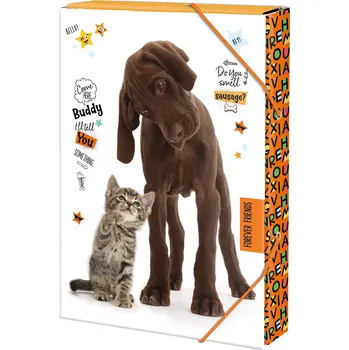 desky na sešit ARGUS Školní box na sešity A4 Forever friends 12310307