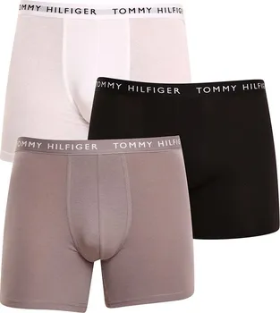 Sada pánského spodního prádla Tommy Hilfiger UM0UM02204-0TG 3-pack