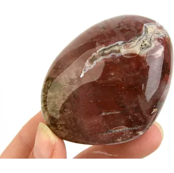 Přírodní kámen Kámen zkamenělé dřevo 142g