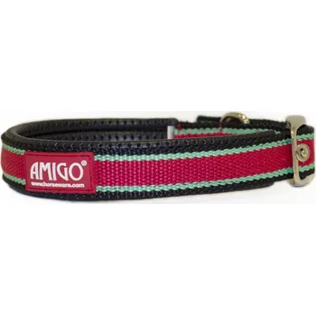 Obojek pro psa AMIGO Obojek pro psy Amigo, red/white/green/black L