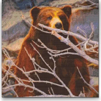Diamantové malování Diamantové malování - Medvěd číhající na kořist Velikost: 50x50cm, Rámování: Pouze srolované plátno, Diamanty: Čtvercové
