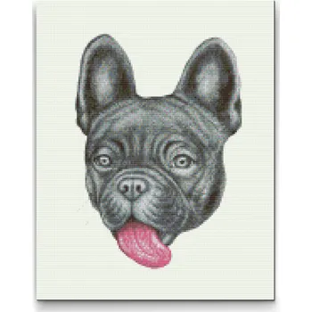Diamantové malování Diamantové malování - Buldoček s vyplazeným Velikost: 30x40cm, Rámování: Pouze srolované plátno, Diamanty: Čtvercové