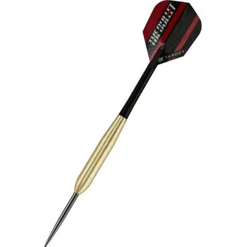 Příslušenství pro šipky Target Šipky Steel Stephen Bunting Cyclone Brass 18 g
