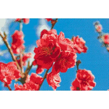 Diamantové malování Diamantové malování - Broskvový květ Velikost: 40x60cm, Rámování: Pouze srolované plátno, Diamanty: Kulaté