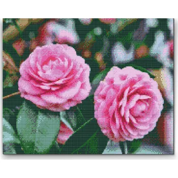 Diamantové malování Diamantové malování - Růžové kamélie Velikost: 30x40cm, Rámování: Pouze srolované plátno, Diamanty: Čtvercové