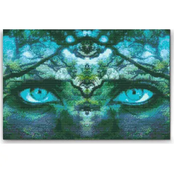 Diamantové malování Diamantové malování - Skrytá žena v lese Velikost: 40x60cm, Rámování: Pouze srolované plátno, Diamanty: Kulaté