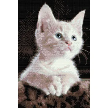 Diamantové malování Diamantové malování - Bílá kočka Velikost: 40x60cm, Rámování: Pouze srolované plátno, Diamanty: Kulaté