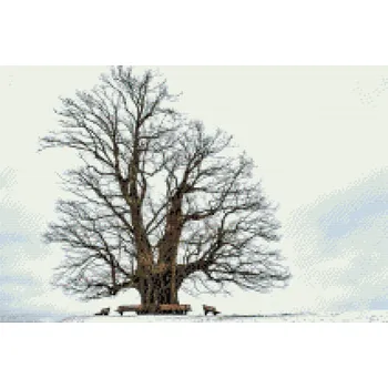 Diamantové malování Diamantové malování - Osamělý strom Velikost: 40x60cm, Rámování: Pouze srolované plátno, Diamanty: Čtvercové