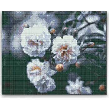 Diamantové malování Diamantové malování - Rozkvetlé bílé růže Velikost: 40x50cm, Rámování: Pouze srolované plátno, Diamanty: Kulaté