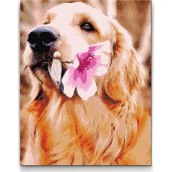Diamantové malování Diamantové malování - Labrador s květem Velikost: 30x40cm, Rámování: Pouze srolované plátno, Diamanty: Kulaté