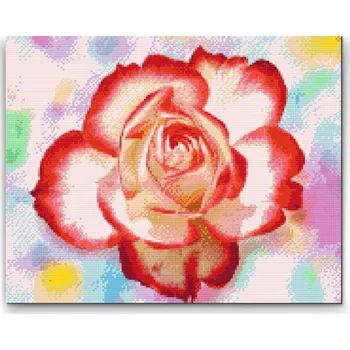 Diamantové malování Diamantové malování - Růže na barevném pozadí Velikost: 30x40cm, Rámování: Pouze srolované plátno, Diamanty: Čtvercové