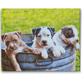 Diamantové malování Diamantové malování - Tři štěňata v hrnci Velikost: 40x50cm, Rámování: Pouze srolované plátno, Diamanty: Kulaté