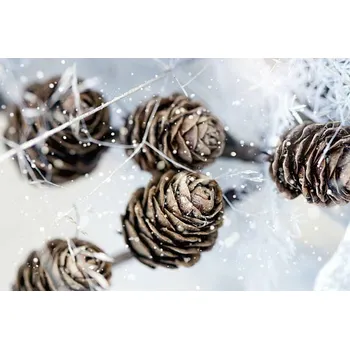 Plakát Plakát, Obraz - cones, Helaine Weide