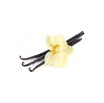 Cukr Vanilkový cukr - PRAVÁ VANILKA / 500 g