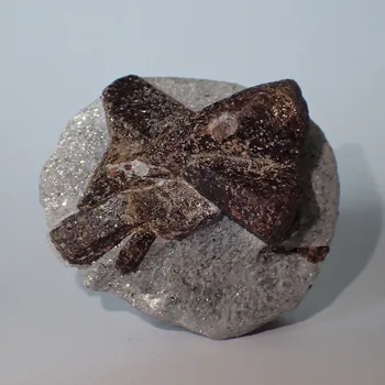 Přírodní kámen Staurolit z Ruska 42x46mm