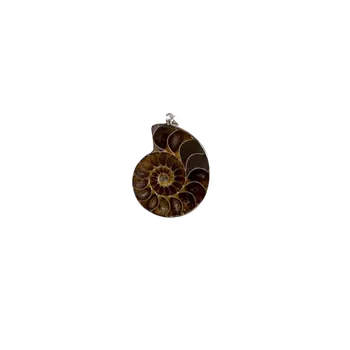 Šperk Přívěsek - amonit