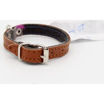 Obojek pro psa Kožený obojek DOLEŽEL 20cm hnědý