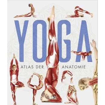 YOGA Anatomie-Atlas - Tengs, Svenja
