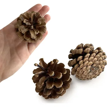 Šiška přírodní - velká - 1ks