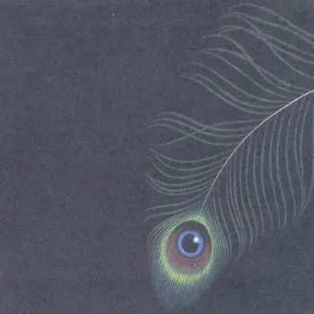 Zahraniční hudba 2LP Unwed Sailor: Circles/the White Ox 2007