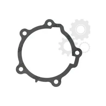 Těsnění převodovky Těsnění převodovky 10137