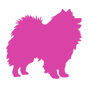 Polep vozidla SAMOLEPKA Pes 192 pravá německý špic (16 - růžová) NA AUTO, NÁLEPKA, FÓLIE, POLEP, TUNING, VLASTNÍ TEXT, TISK, AUTOSAMOLEPKY.cz, POLEPY, OBRÁZEK, LOGO, SAMOLEPKY