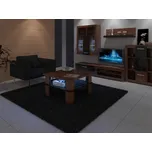 Konferenční stolek Futura I - Konferenční stolek