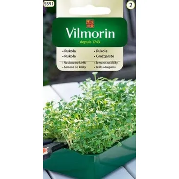 Semeno Rukola na klíčky Vilmorin Classic 10 g