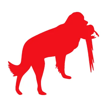 Polep vozidla SAMOLEPKA Pes 193 pravá lovecký s bažantem (10 - červená) NA AUTO, NÁLEPKA, FÓLIE, POLEP, TUNING, VLASTNÍ TEXT, TISK, AUTOSAMOLEPKY.cz, POLEPY, OBRÁZEK, LOGO, SAMOLEPKY