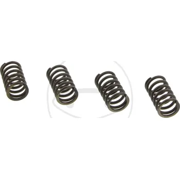 Sada spojkových pružin HONDA CR 85 velká kola rok 03-08