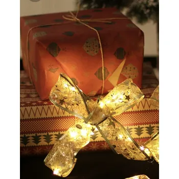 Vánoční dekorace Nano LED řetěz 20led/2m s programy a knoflíkovou baterií bílá teplá