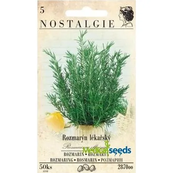 Semeno Rozmarýn lékařský 50 ks