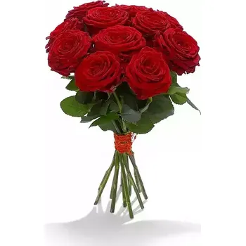 Sazenice Červená růže Red Naomi