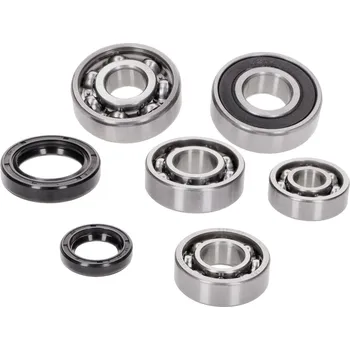 OEM Standard Sada ložisek převodovky s gufery, Hyosung 50cc 2T, SB Cab, Supercab, Avanti, SF 50 42786
