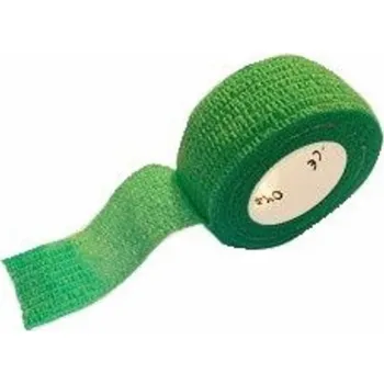 Zdravotnický materiál Rychlonáplast elastická 25mm x 450cm Zelená