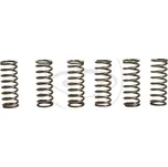 Sada spojkových pružin BMW G 650 Xchallenge / Xcountry rok 07-10