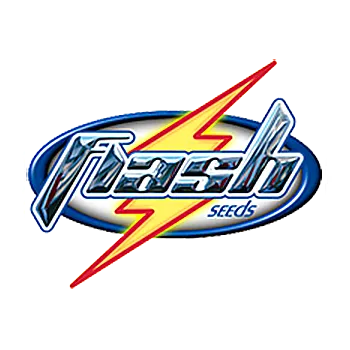 Semeno Flash Seeds - Copacabana Auto 3 ks