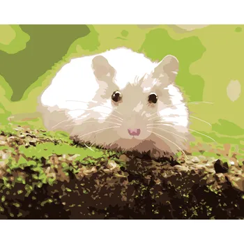 ZUTY Malování podle čísel - BÍLÝ KŘEČEK V LESE Rozměr: 40x50 cm, Rámování: vypnuté plátno na rám