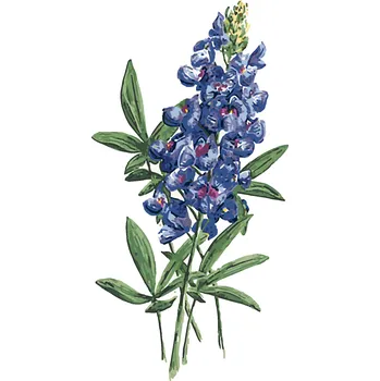 ZUTY Malování podle čísel - KVĚTY VLČÍHO BOBU (ALEXANDRIA GILBERT) Rozměr: 40x50 cm, Rámování: bez rámu a bez vypnutí plátna