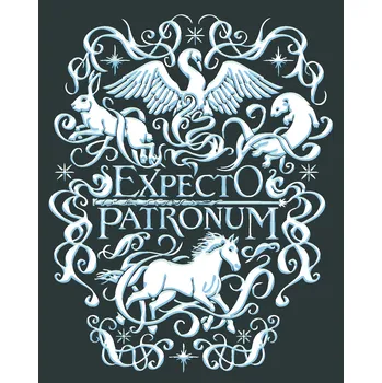 ZUTY Malování podle čísel - PLAKÁT EXPECTO PATRONUM (HARRY POTTER) Rozměr: 40x50 cm, Rámování: vypnuté plátno na rám