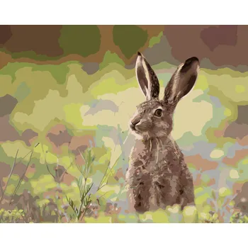 ZUTY Malování podle čísel - ZAJÍC V TRÁVĚ Rozměr: 40x50 cm, Rámování: bez rámu a bez vypnutí plátna