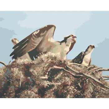ZUTY Malování podle čísel - OREL V HNÍZDĚ (D. RUSTY RUST) Rozměr: 40x50 cm, Rámování: bez rámu a bez vypnutí plátna