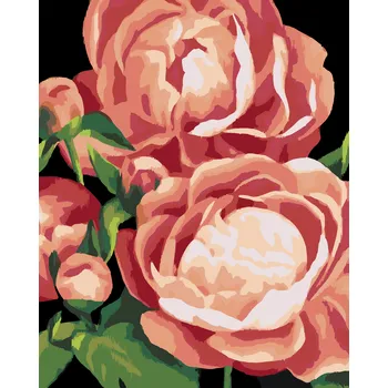 ZUTY Malování podle čísel - PIVOŇKY 3 (MYROSLAVA VOLOSCHUK) Rozměr: 40x50 cm, Rámování: bez rámu a bez vypnutí plátna