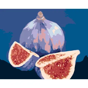 Hračka ZUTY Malování podle čísel - FÍK 3 (MYROSLAVA VOLOSCHUK) Rozměr: 40x50 cm, Rámování: bez rámu a bez vypnutí plátna